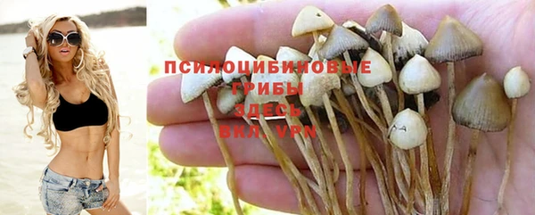 индика Абдулино