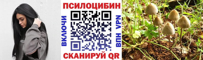 Галлюциногенные грибы MAGIC MUSHROOMS  Ужур 